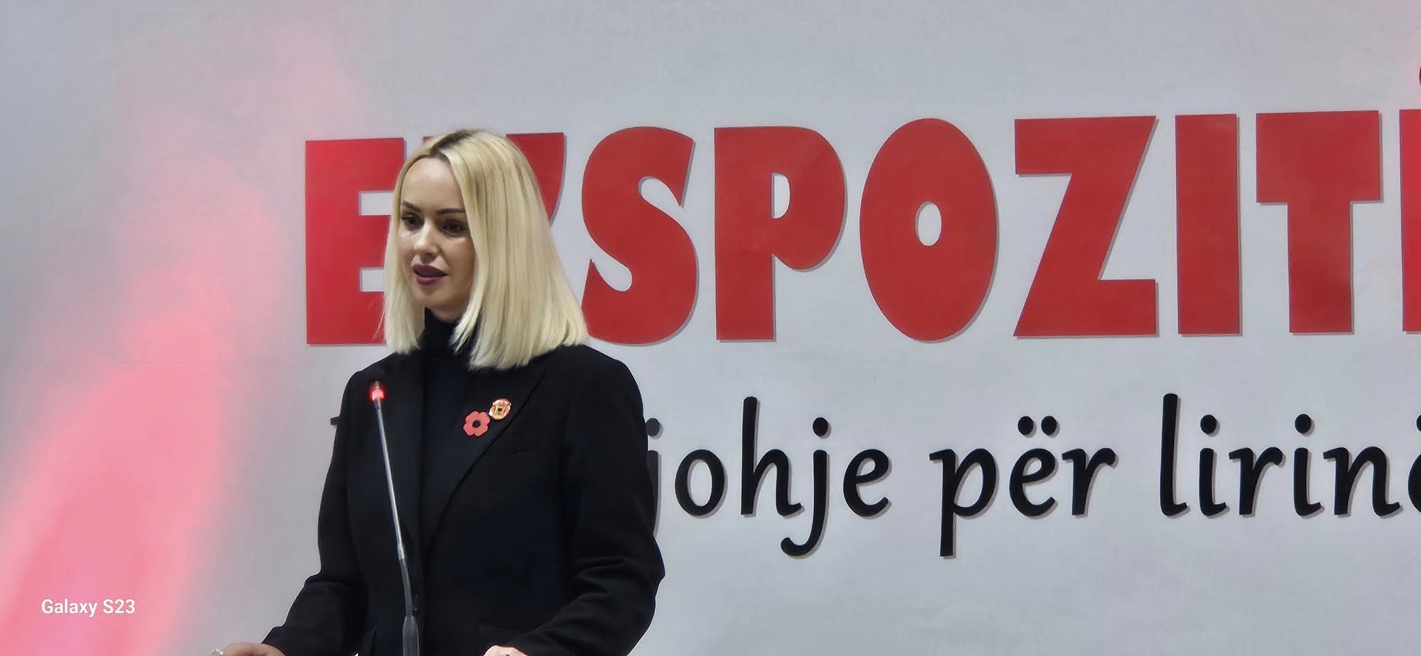 “Ekspozitë Artistike – Mirënjohje për Lirinë”